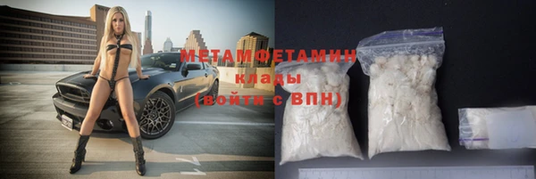 прущие грибы Абдулино