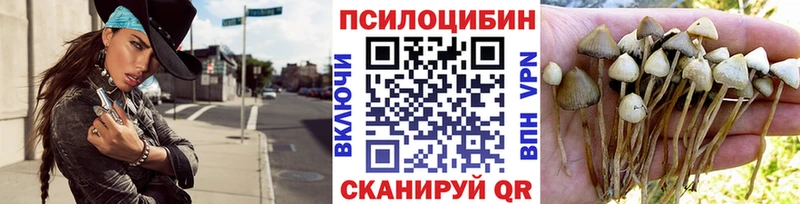Галлюциногенные грибы MAGIC MUSHROOMS  где купить наркотик  Почеп 